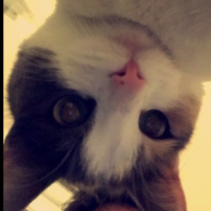 ITZAizon_06