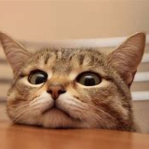 IWish4Food