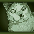 Bubby Green
