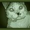 Bubby Green