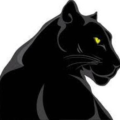 izzyrobin58_gmail_com