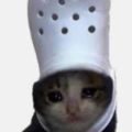 ImIsiTIsnTArntNot