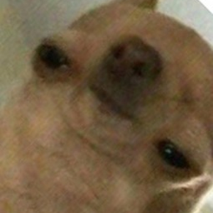 J_____