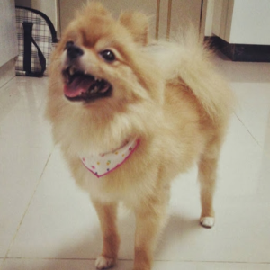 JACKMA