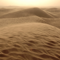 Desert Runner