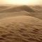 Desert Runner