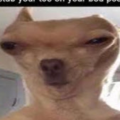 JaiiDT86