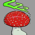 Sleepy Mushr00m