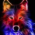 jamiekeiser00_gmail_com