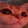 janananing