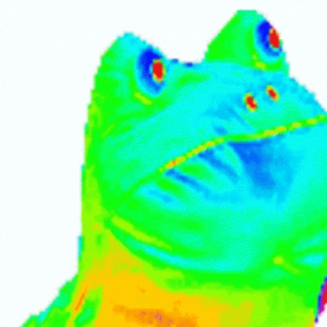 javii05