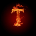 T4NGO