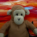 jaxonTheMonkey