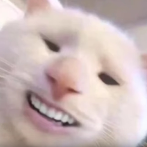 Jaybandzs