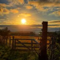 md matt