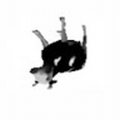 JEMZIE