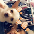 jennifer_pastrlove