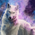 QueenWolfSavvy