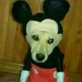 Mxrtian JR