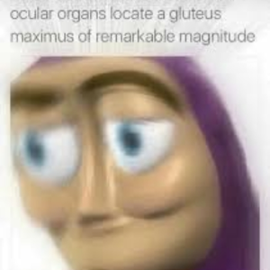 Aw shit, it's a newb.