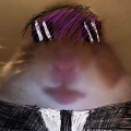 JimSim