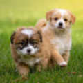 jmhplayzx_gmail_com