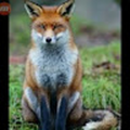 joao_miguel818