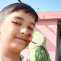 joel04khan_gmail_com