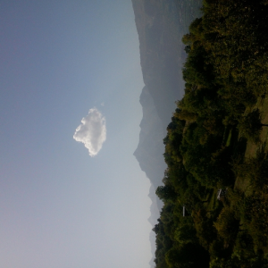 jofollo