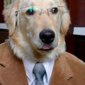 johnpaulsernaIII