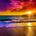jojosiwalover543_gmail_com