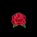 jonaeann4_gmail_com