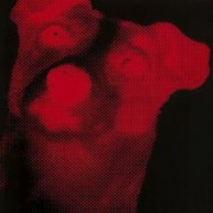 Jonathan Burton White