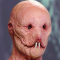 JonB