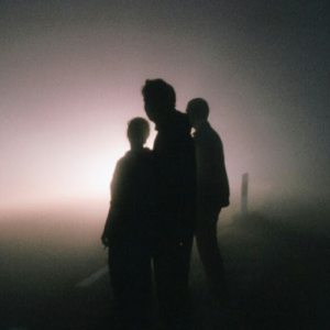 jorgealedson
