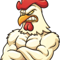 Rooster