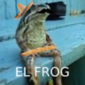 Zippy