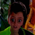 josef_fields