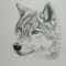 JoshtheDJwolf