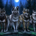 Jrami244