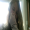juju_bee
