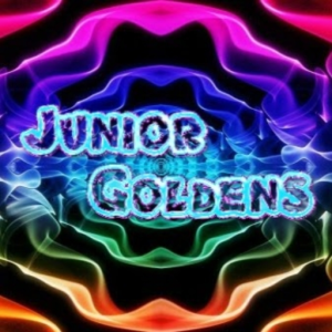 junior_goldens