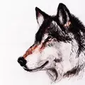 jwolf