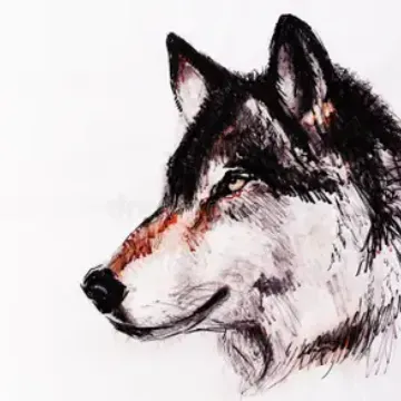 jwolf