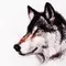 jwolf