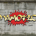 Kamotic