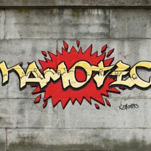 Kamotic