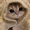 Kaceythai