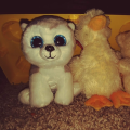 kadenweinbrenner_gmail_com