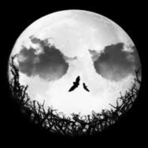 FalloutMoonDeeJay